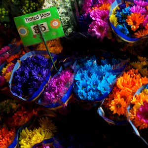 Tinted flowers at Court Square Plaza photo