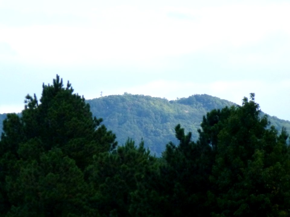 P1000063