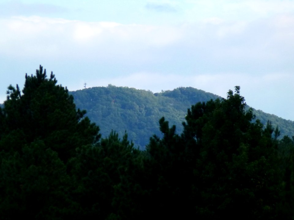 P1000064