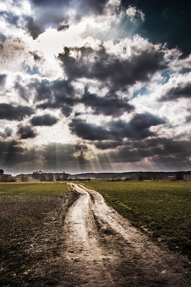 Pathway path field