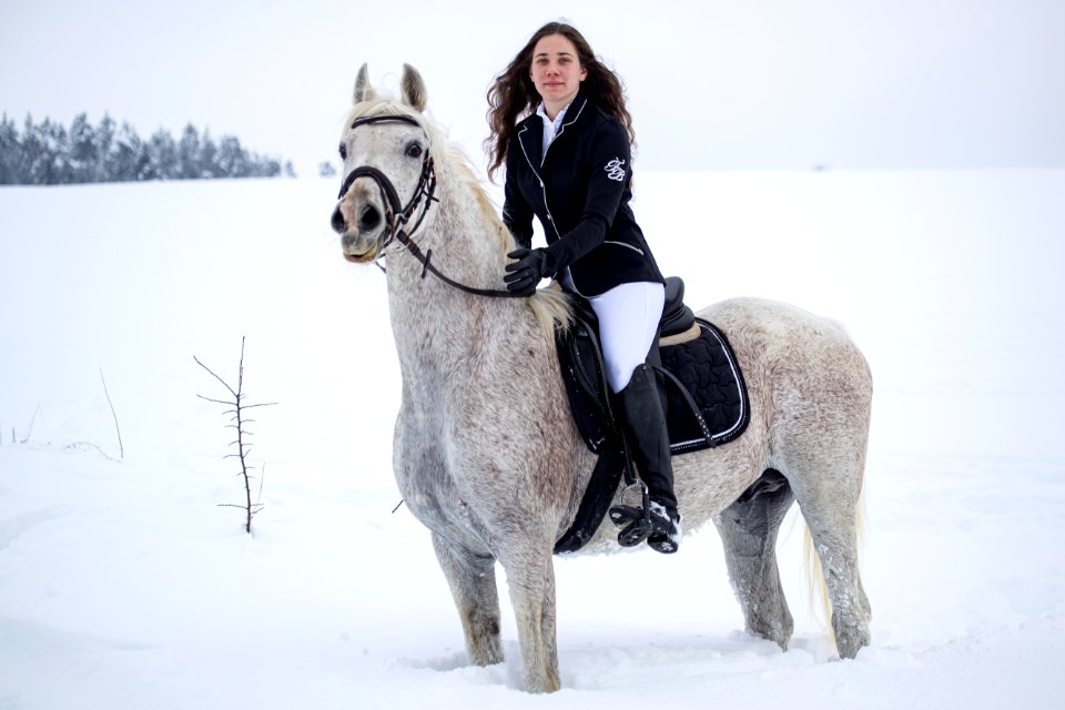 Pege OS201486