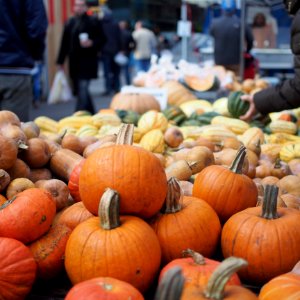 Pumpkin stand at Union Square Christmas market photo