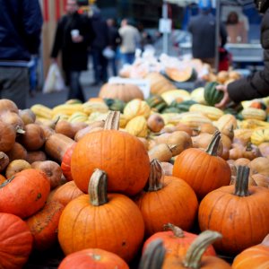 Pumpkin stand at Union Square Christmas market