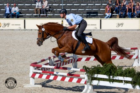 Eulenspiegel 20160276