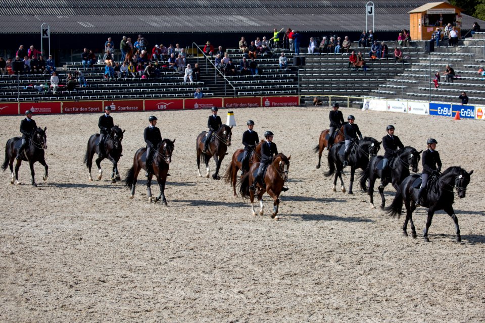 Quadrille 20161491
