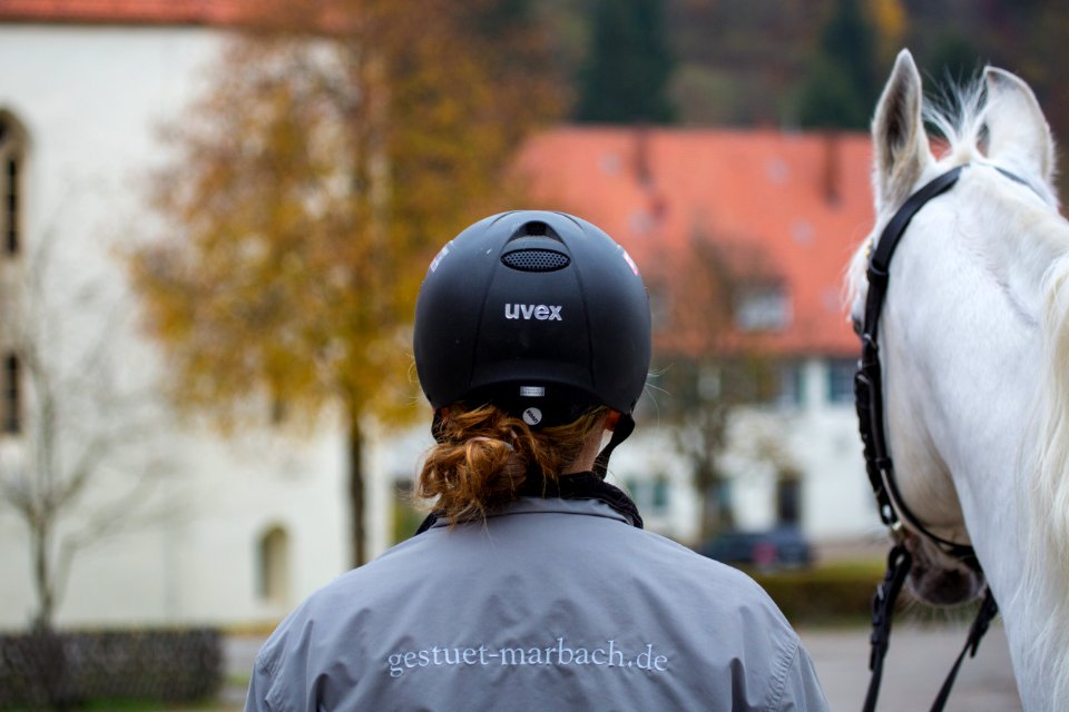 DschehimHP151208(c) Oliver-Seitz