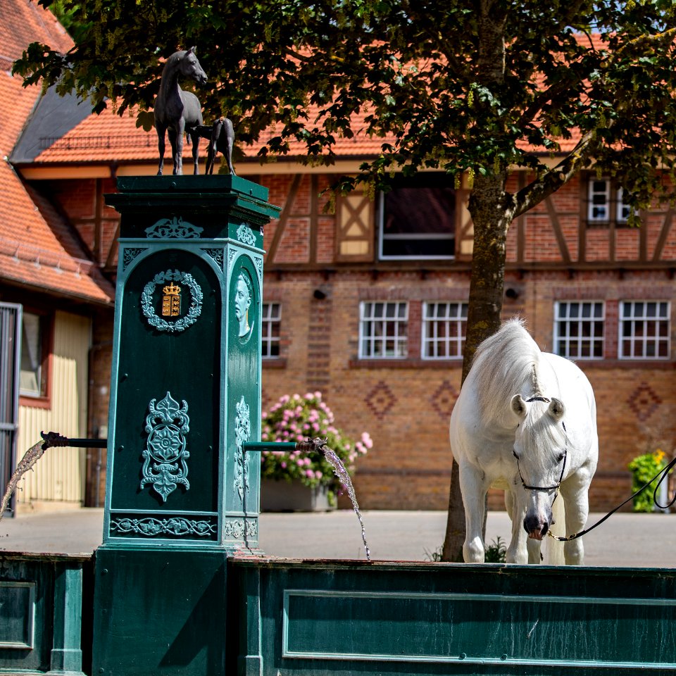 Moritz OS200943