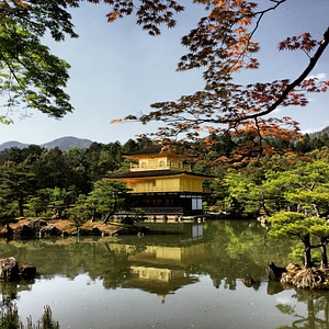 Goldentemple temple kinkaku-ji