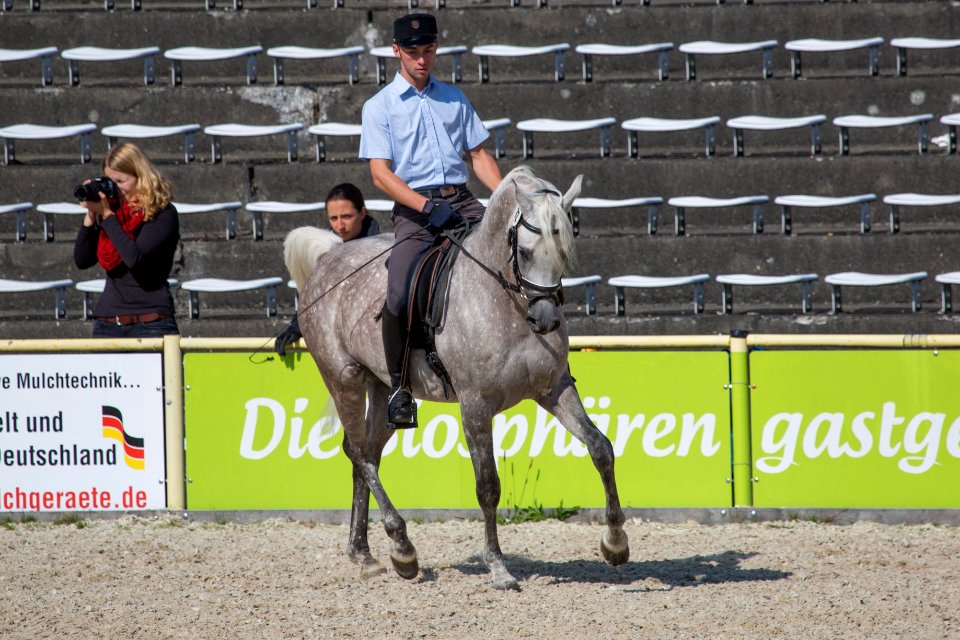 Rassenschau 20169726