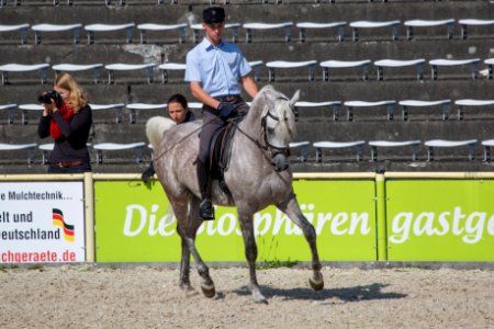 Rassenschau 20169726