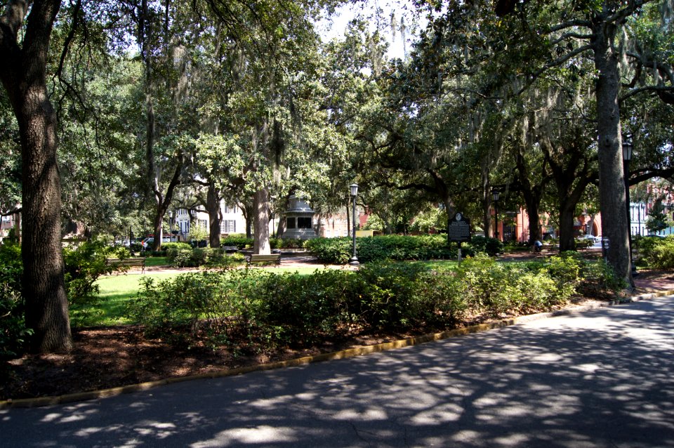 DSC01390