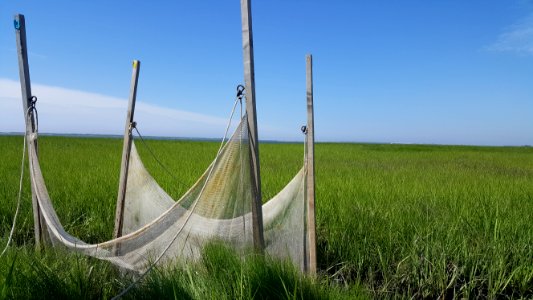 A ditch net used for monitoring nekton (NPS Photo, Lauren Zeffer)