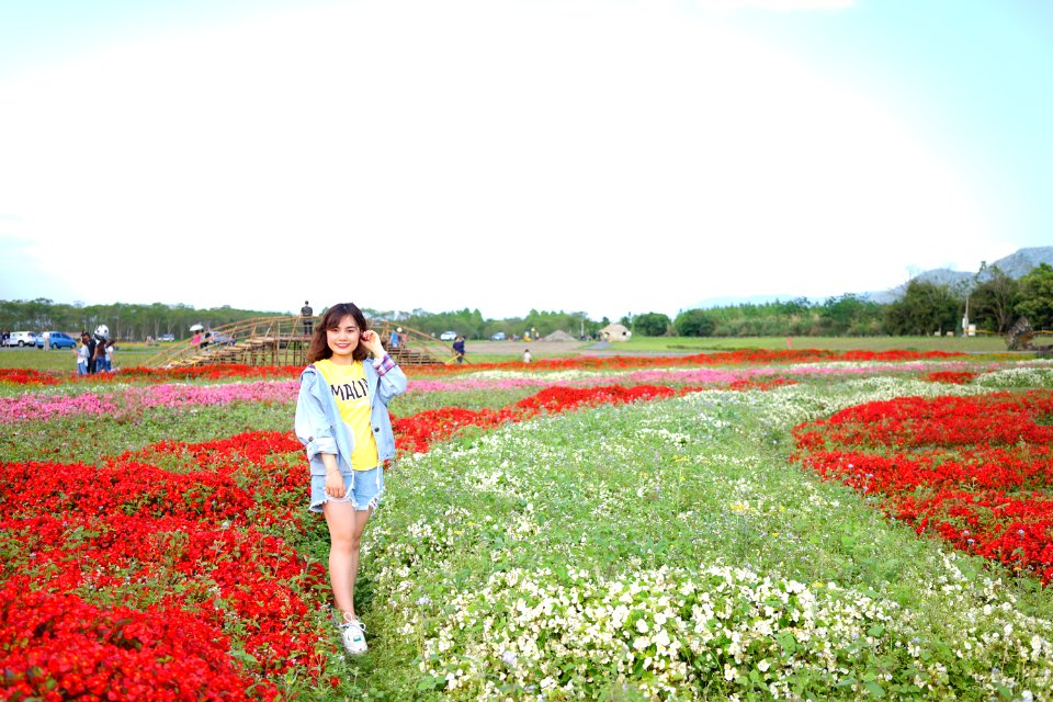 DSC06008