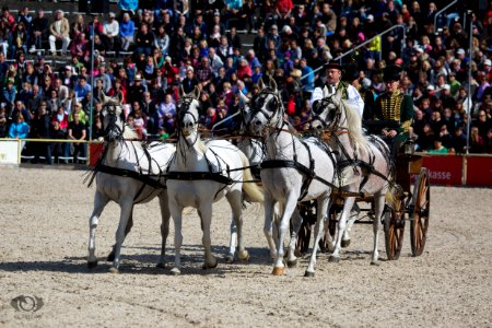 HP150526(c) Oliver-Seitz