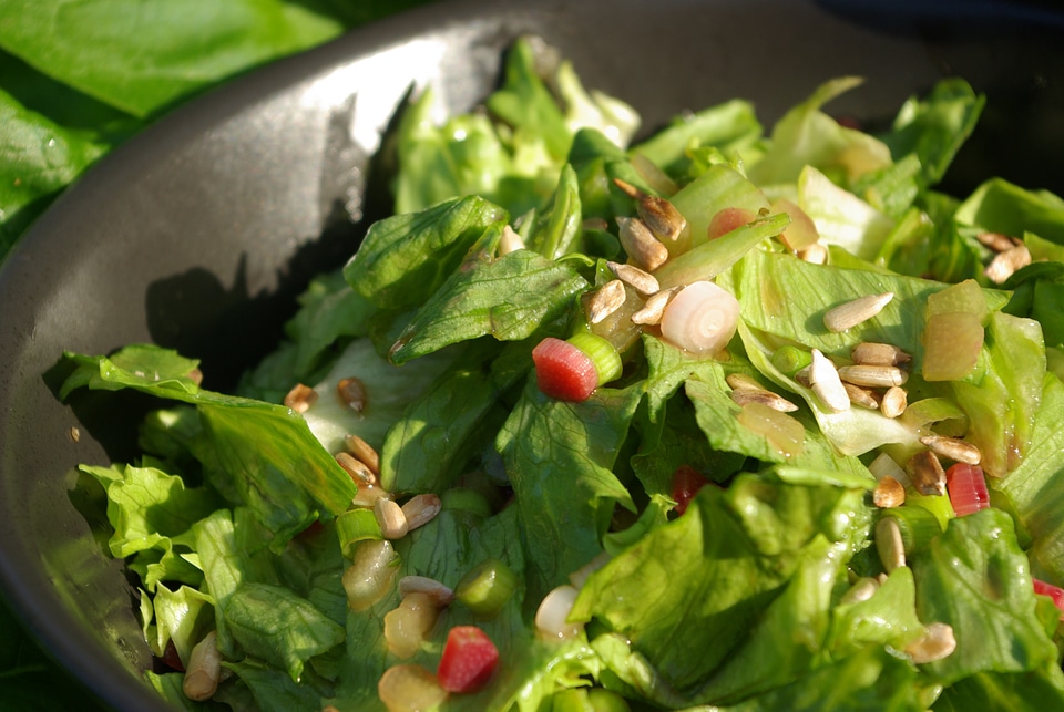 Cholesterol rhubarb york's cholesterol-free cookbook