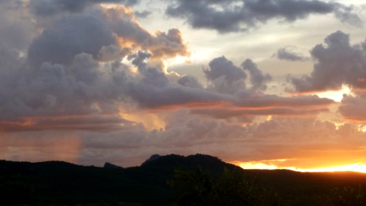 P1000617