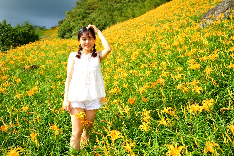 DSC07082