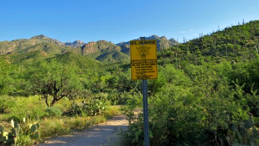 Sabino Canyon. Esperero Trail. Tucson