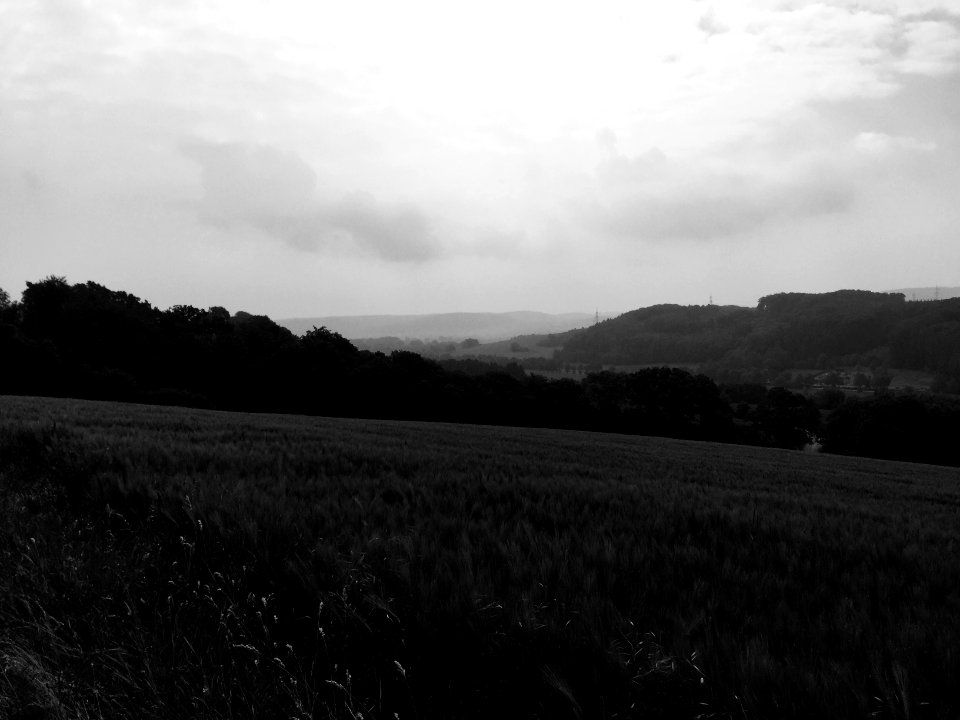 Landscape OWL Morning