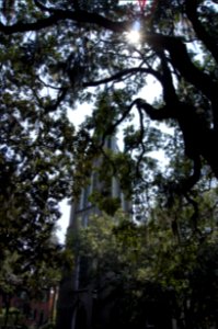 DSC01388