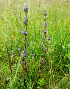 San Antonio Hot Springs Hike 7