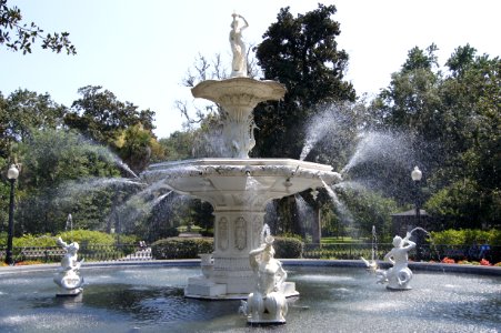 DSC01419