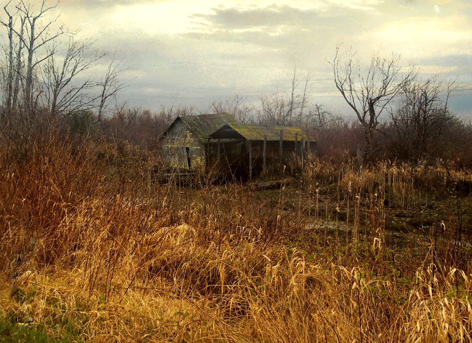 Old Shed at Finn Slough