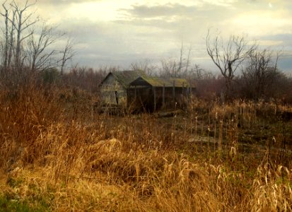 Old Shed at Finn Slough
