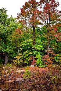 Out the back door.