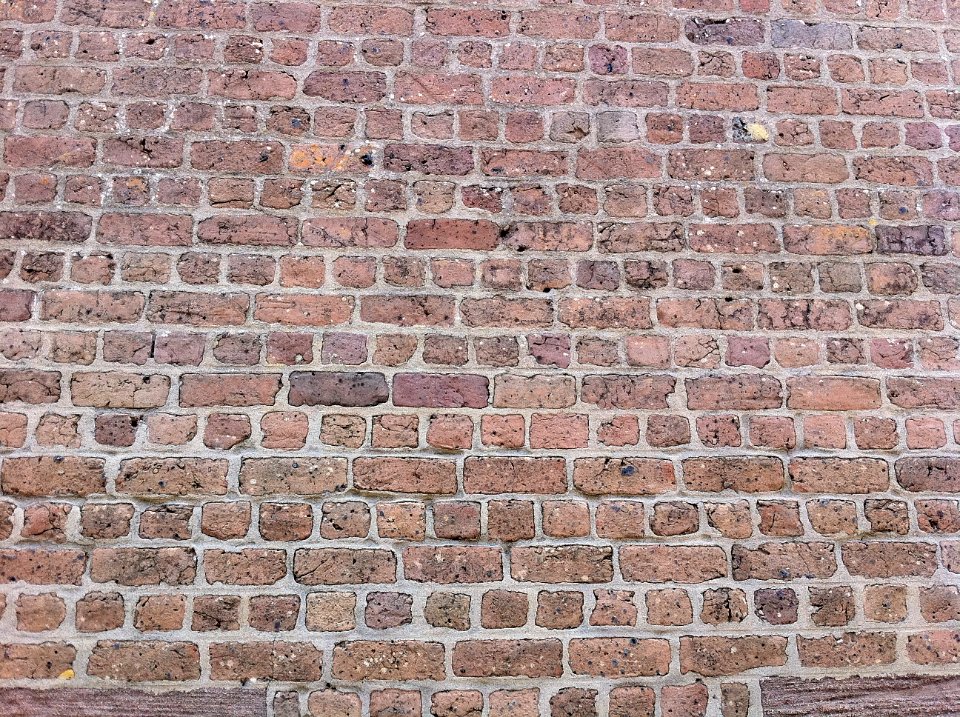 IMG 1537