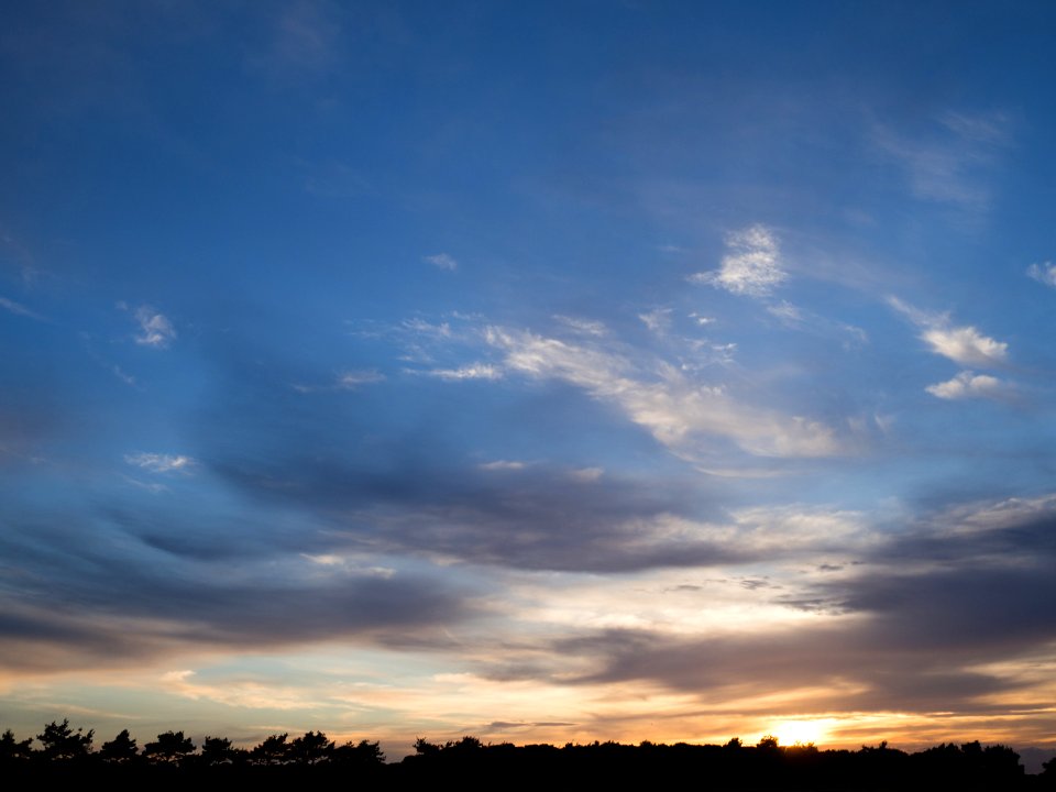 P5271185