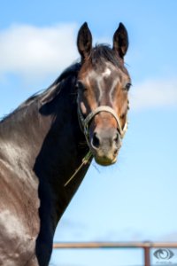 S20164871-Oliver Seitz