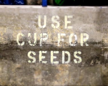 We sow the seed, nature grows the seed and we eat the seed.