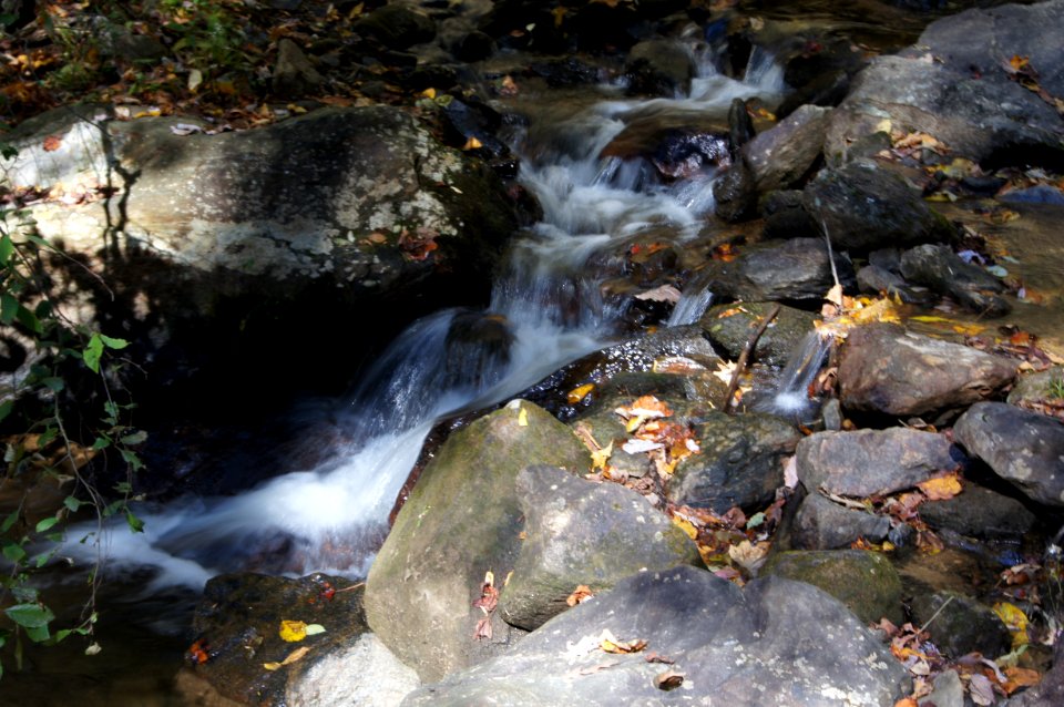 DSC00338