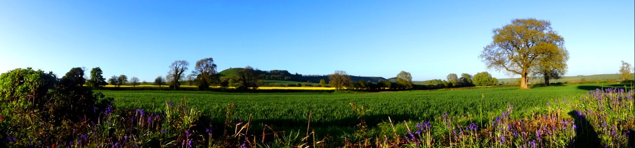 In the shadow of long knoll