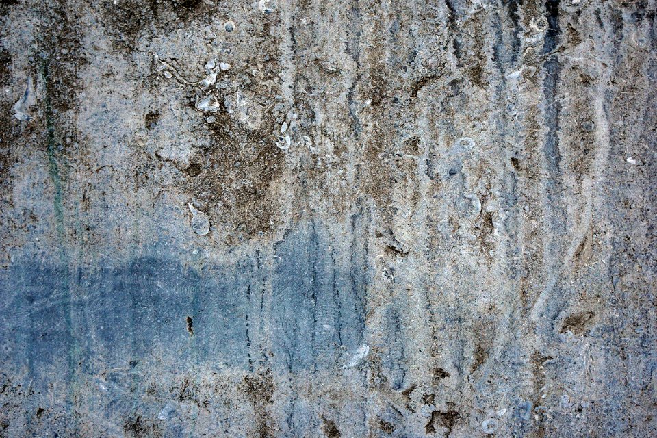 Texture  Full Resolution 6000x4000  Free to use