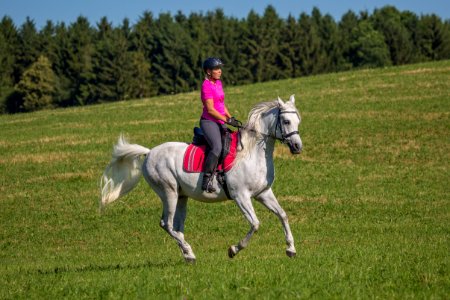 Dschesim 20166861