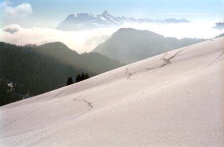 Paysage de montagne enneigée photo