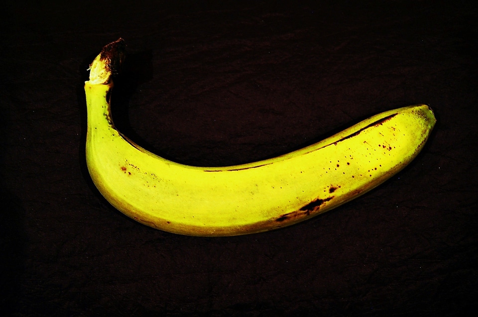 Fruit background still life