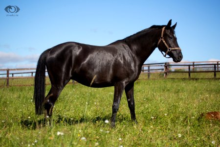 S20164224-Oliver Seitz