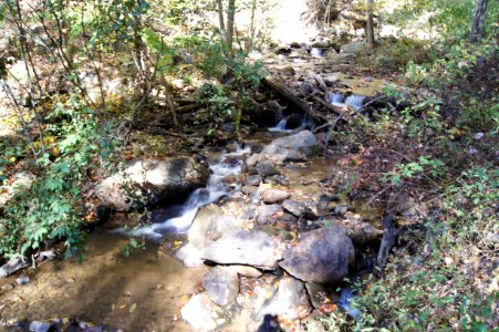 DSC00341