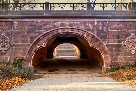 Central Park, Bridge,  NYC