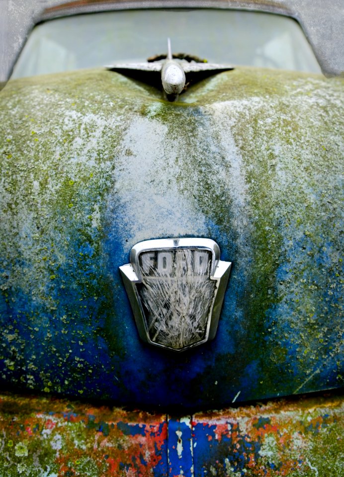 Rust Bucket