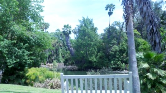 Arboretum Botanical Gardens Seating Area. Arcadia, CA