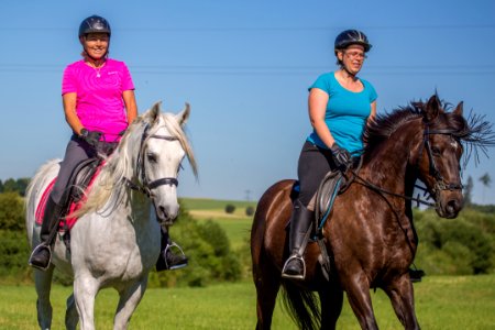 Dsche-Renn 20167071