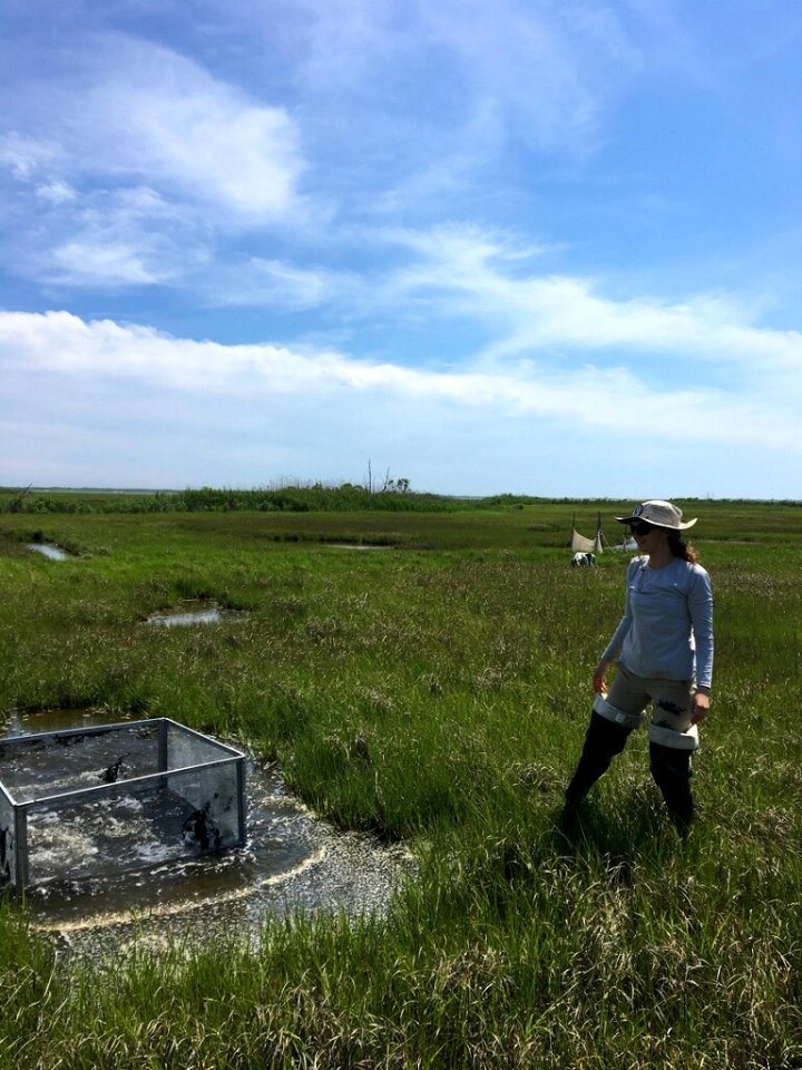 2017 GIP Intern, Lauren Zeffer (NPS Photo, Daniel Cole)