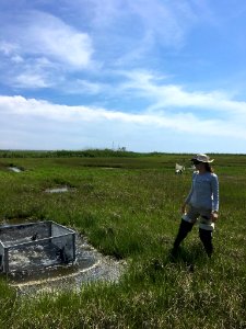 2017 GIP Intern, Lauren Zeffer (NPS Photo, Daniel Cole)