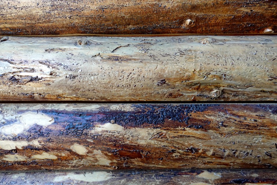 Texture  Full Resolution 5472x3648  Free to use