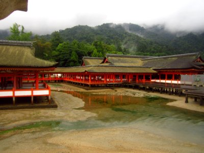 Miyajima Island Impressions