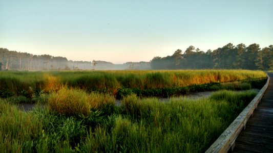 Jamestown Island, Colonial National Historical Park (NPS Photo)
